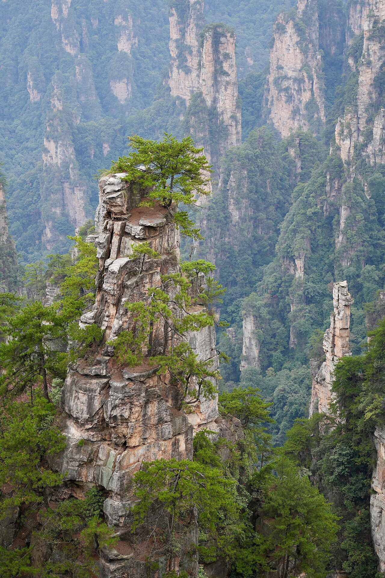 Zhangjiajie pillars